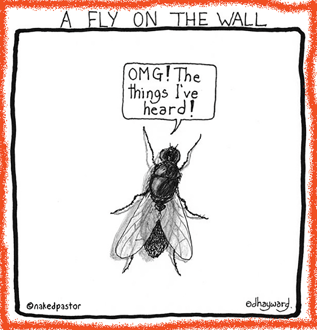 absolutt-np-fly-on-the-wall